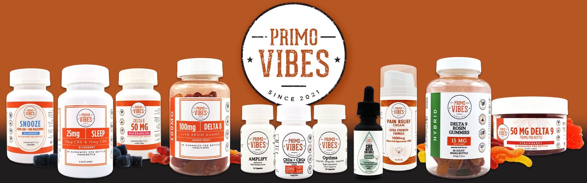 Primo Vibes Home Page Banner